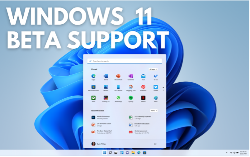 windows 11 beta install